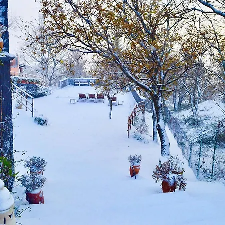 Del Gelso Nel Parco Delletna Villa