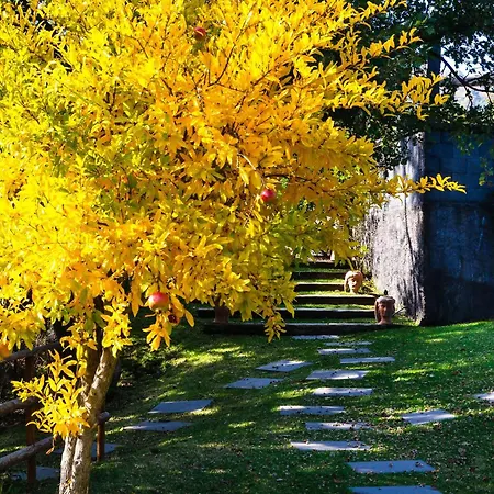 Del Gelso Nel Parco Delletna