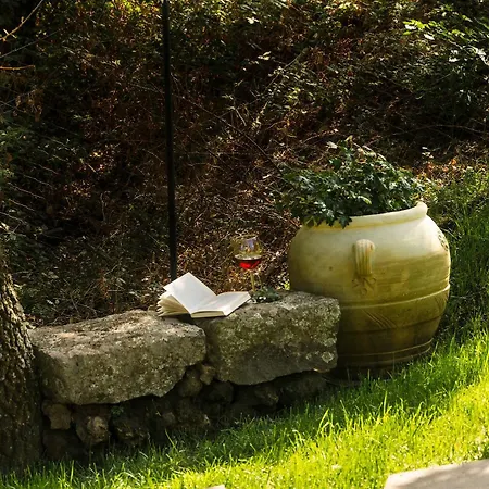 Del Gelso Nel Parco Delletna *
